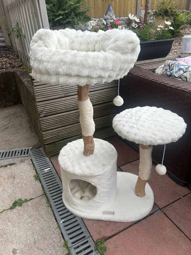 Cat scratching post and litter box 