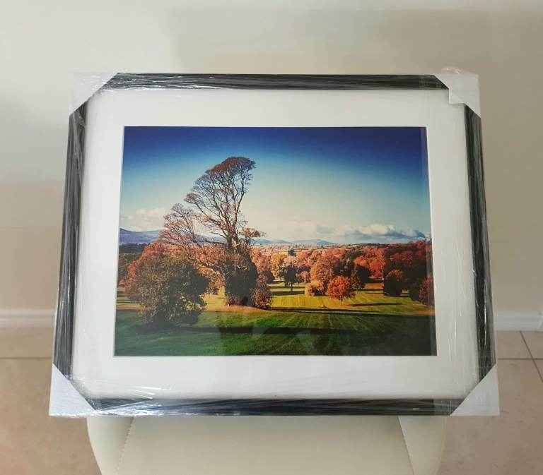 Kilbroney Forest Park, framed photograph 🎁🎅🌲