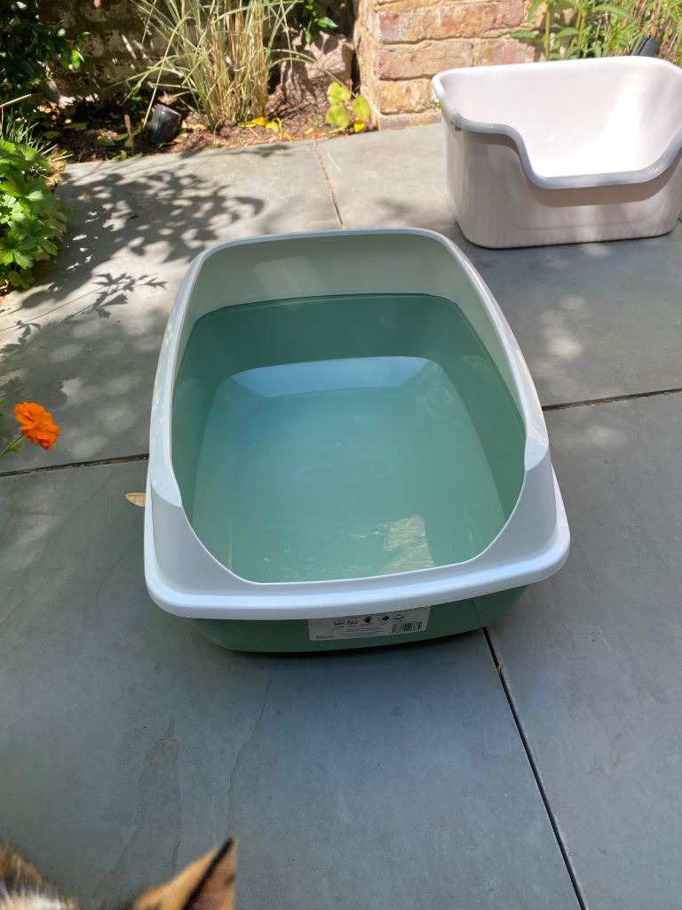 FREE cat litter trays