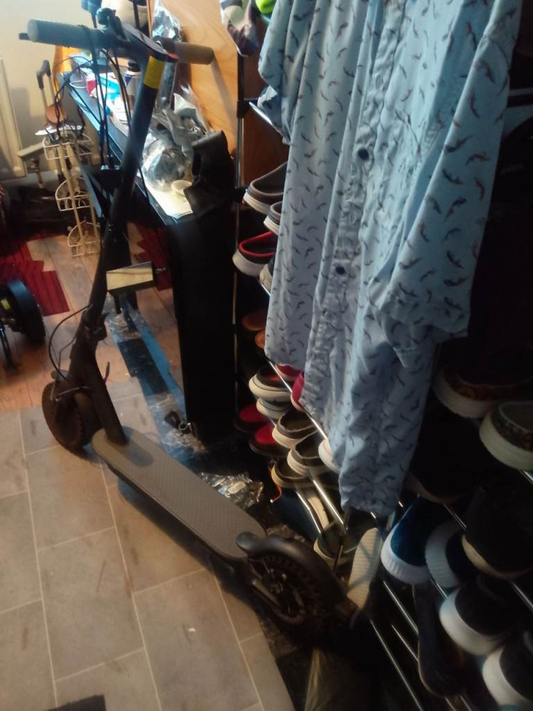 Adult electric scooter 