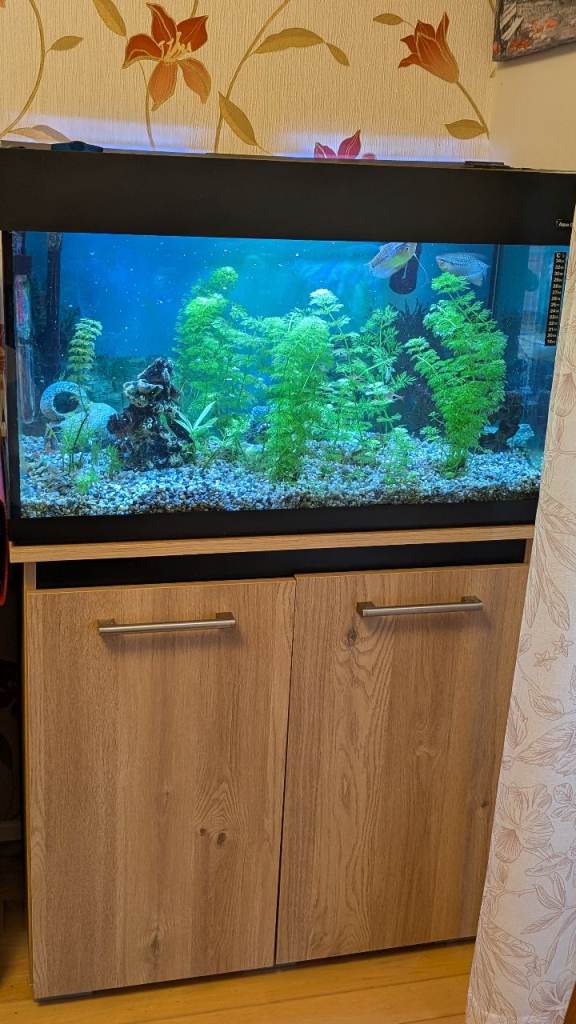 125 litre tropical fish tank , complete.