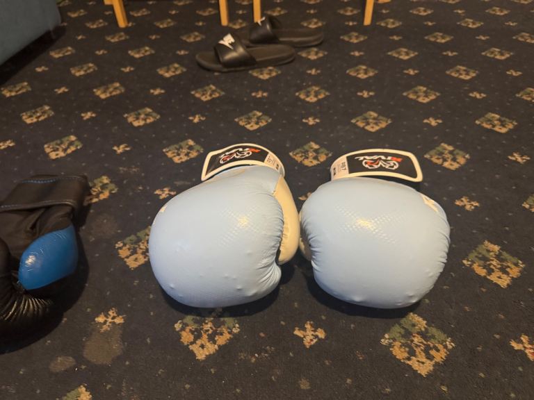 Boxing gloves 
