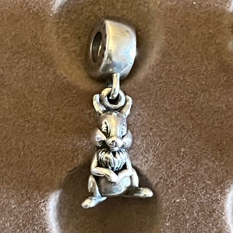 Genuine pandora charms only £25 each 