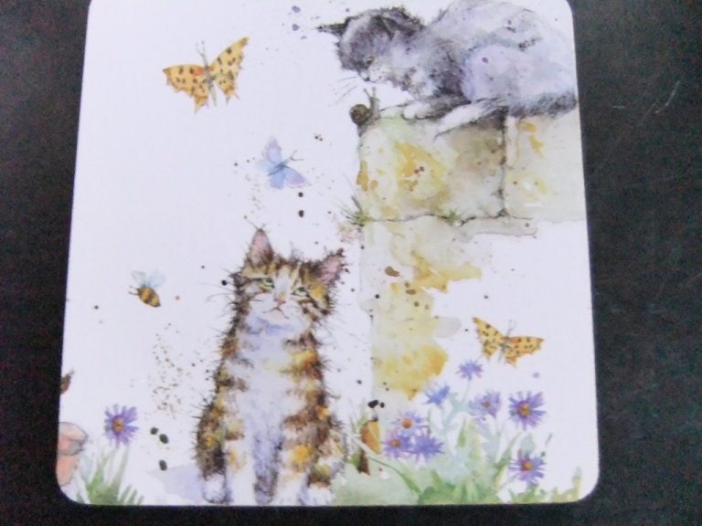 Mug and Coaster set in Presentation box - Illustrated Cat Design by Jan Pashley