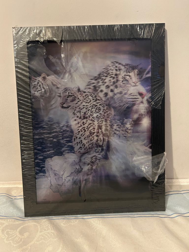 Frames 