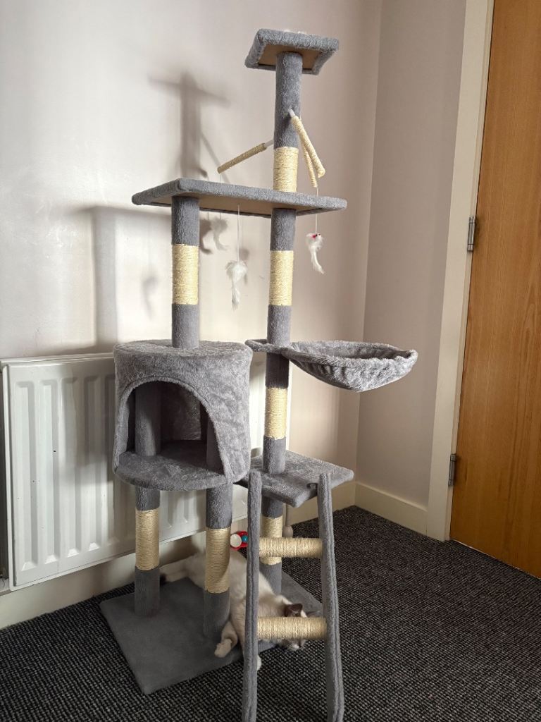 Cat tree £35 brand new 