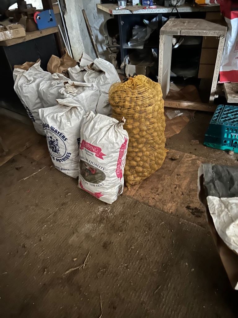 Seed potatoes sharpes express, pinks, dell, red Duke of York 