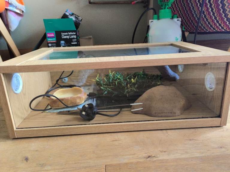 Snake vivarium plus starter accessories