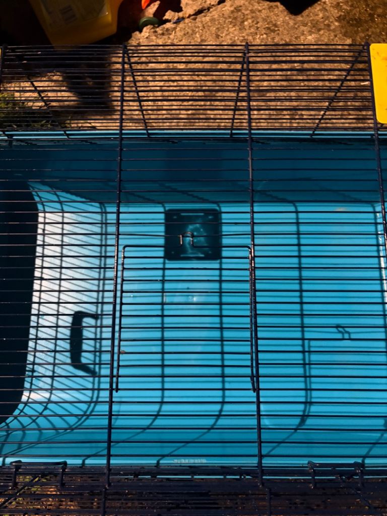 Gerbil cage 