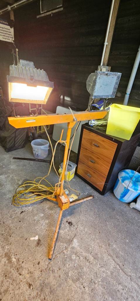 X4 Plasters, builders lights 110v