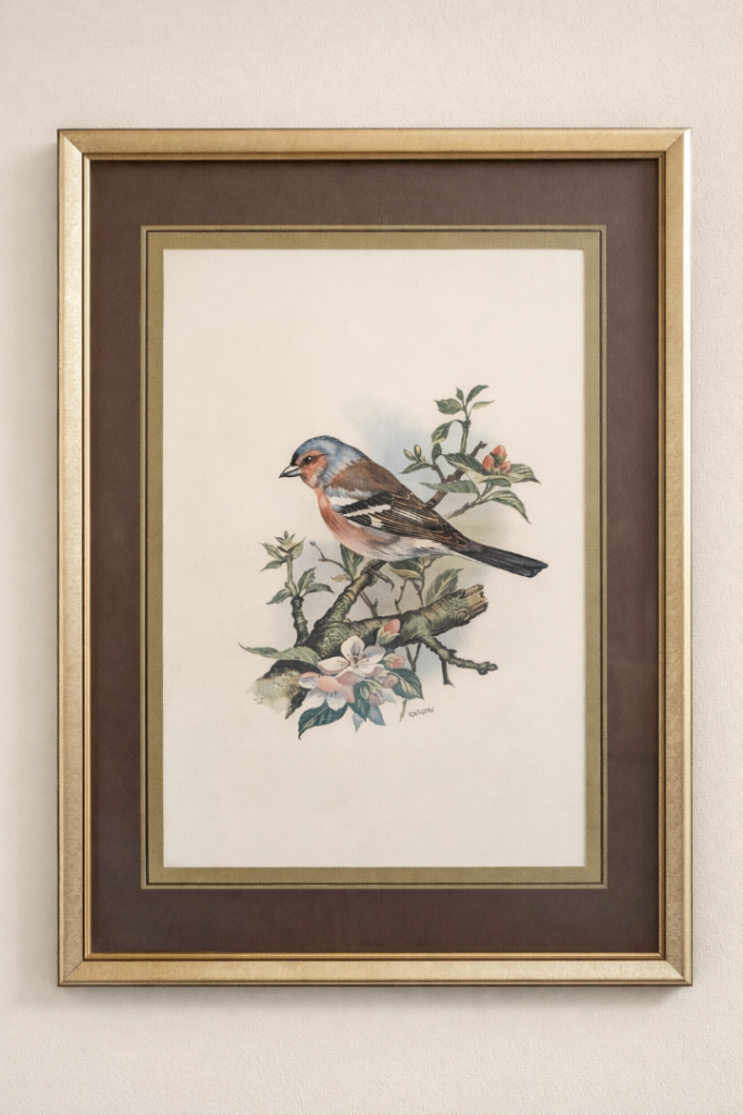Framed bird print – vintage style wall art