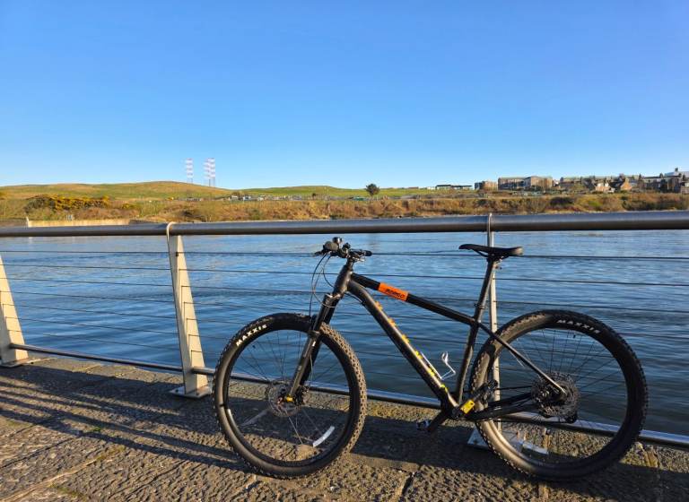 Voodoo Bizango 2024 Mountain Bike L 