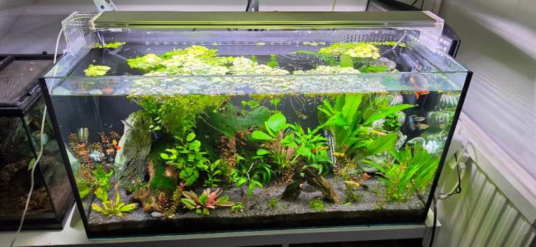 Superfish scaper 140L