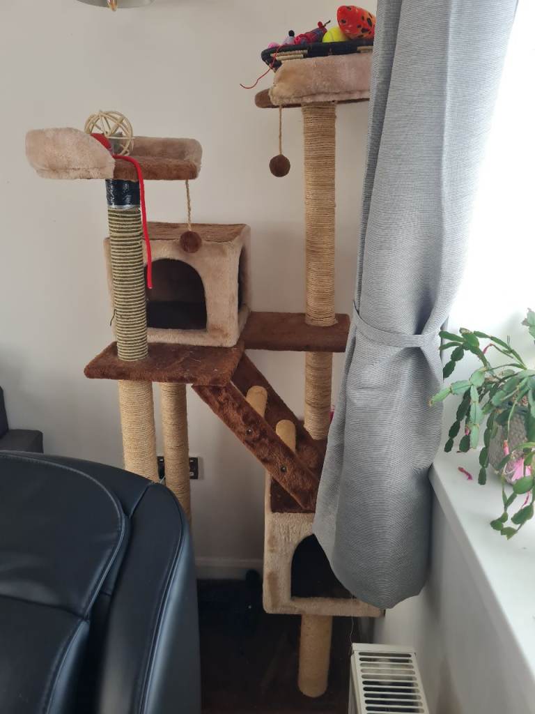 Cat tree 
