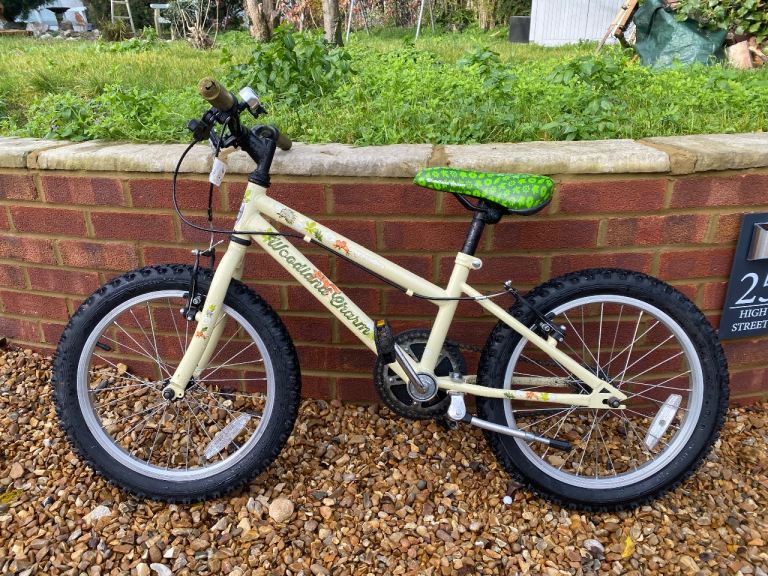 4 -6 year old kids bike ( Unisex ) 