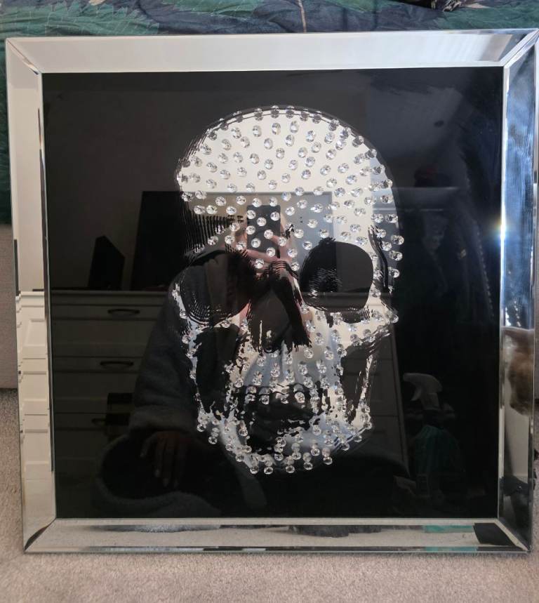 Mirrored Skull Wall Art – Black & Silver