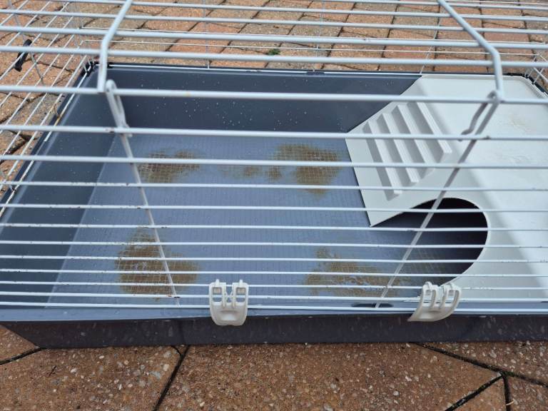 Guinea pig cage FREE