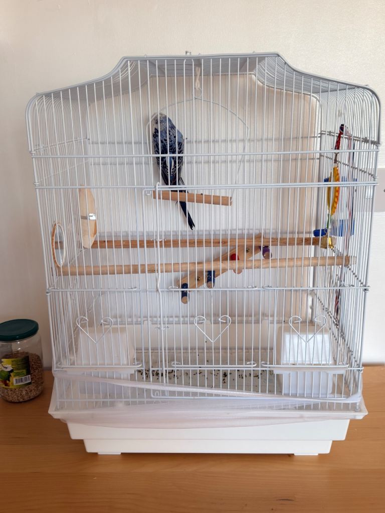 Budgie cage 