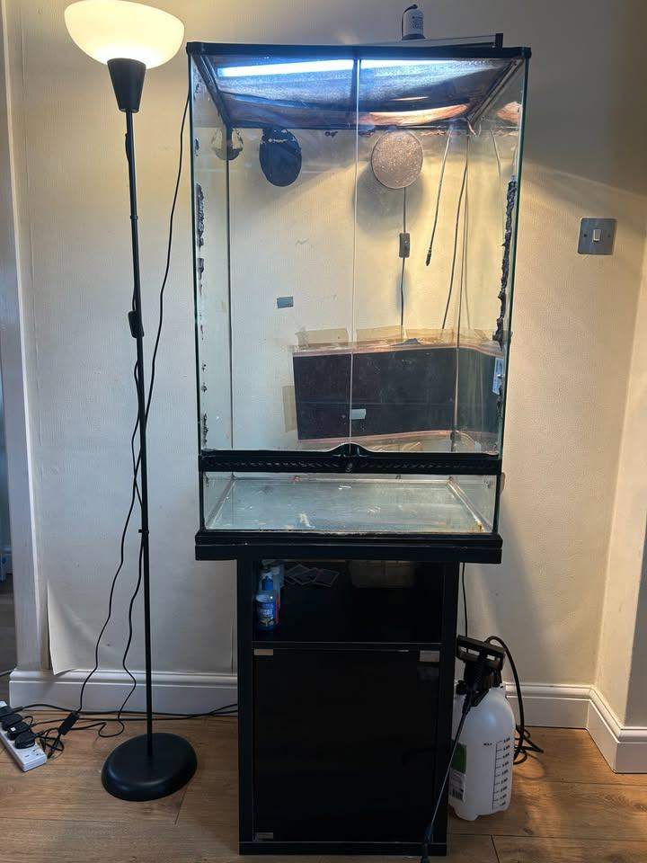 X-Tall Reptile Glass Tank (60x45x90cm) + Free Setup (UVB light, thermostat, cabinet, etc)