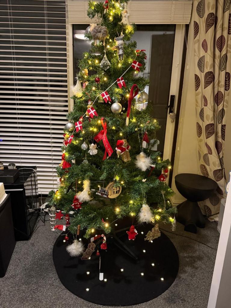 Christmas tree and rug