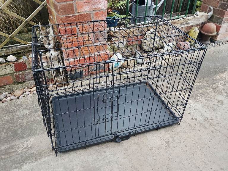 Dog Crate.