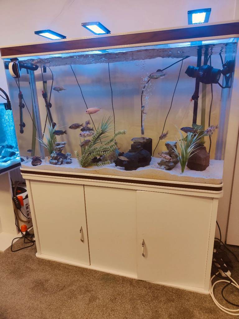 Aquarium full set up 4 ft £600 ono