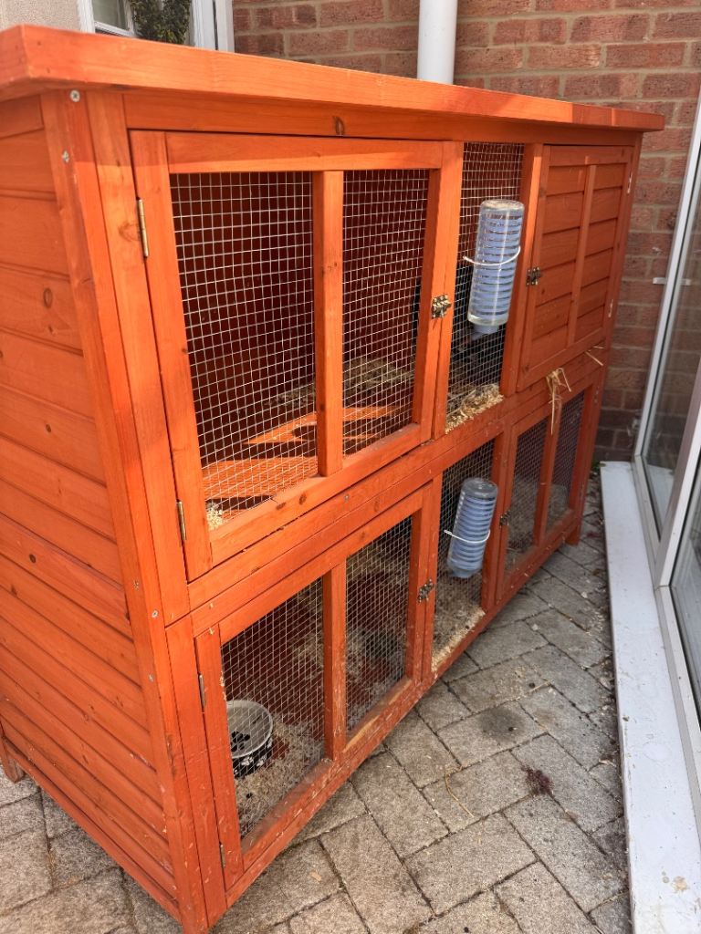 Rabbit hutch 