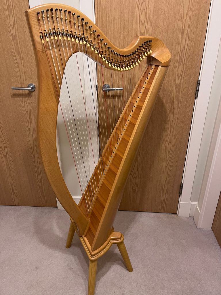 Mark Noris harp / Clarsach for rent 