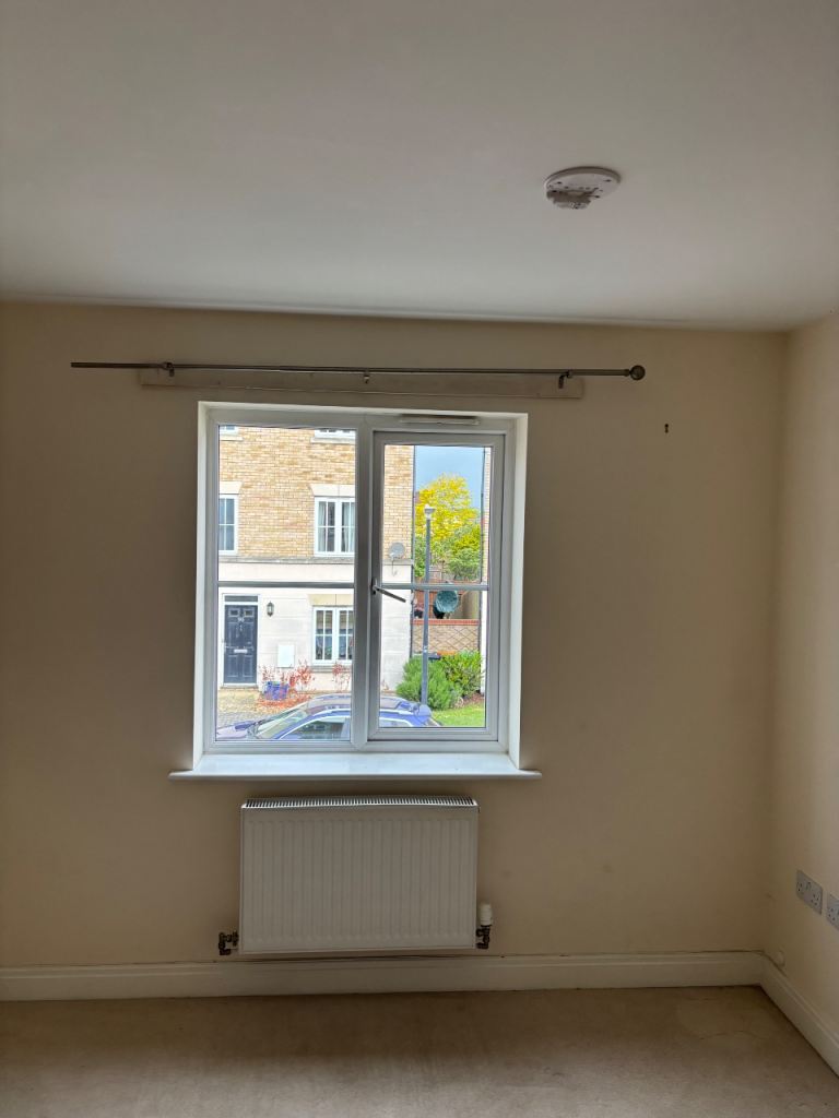 Painter ( Handy Man) 