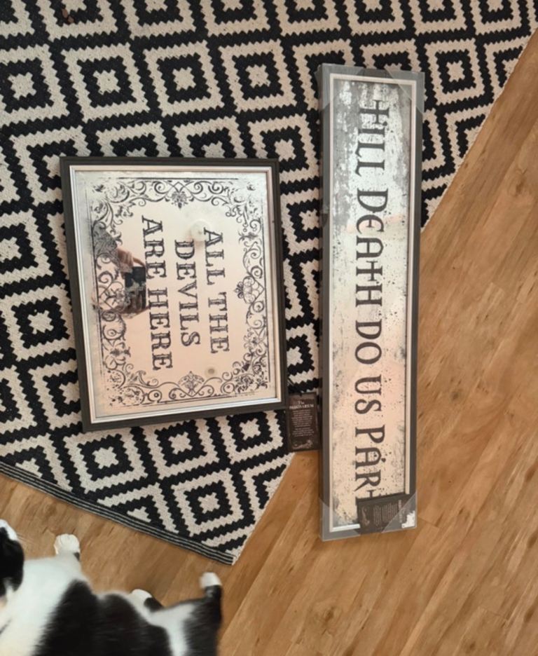 Homesense Halloween mirrored wall art 