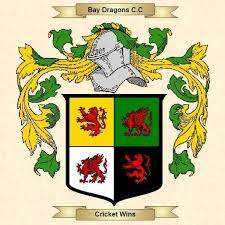 Cricket players and volunteers needed