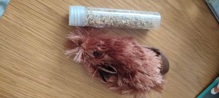 Catnip and mouse pouch