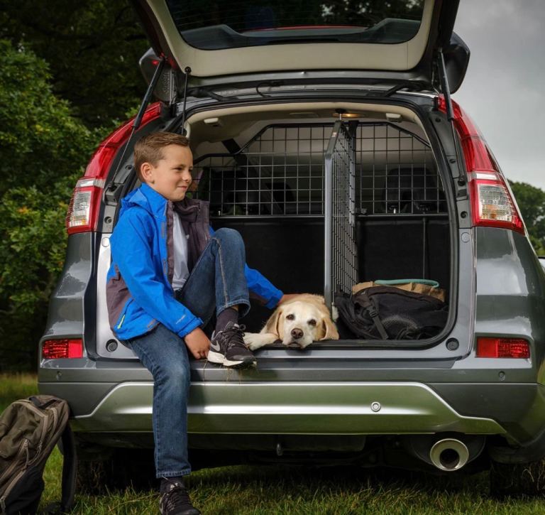 Travall Mercedes GLC (2018 - 2022 models) Dog Guard plus boot divider