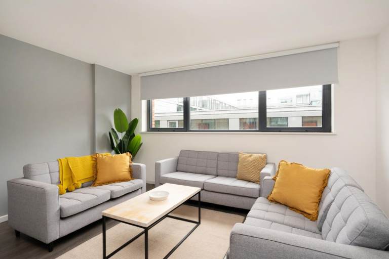 Room in a Shared Flat, Hollis Croft, S1