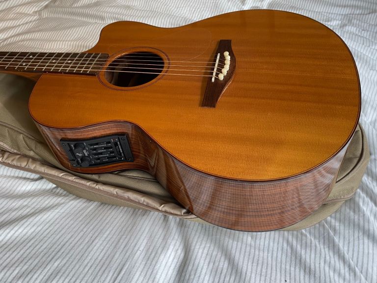 Avalon guitar AS200CE- bone, nut and saddle