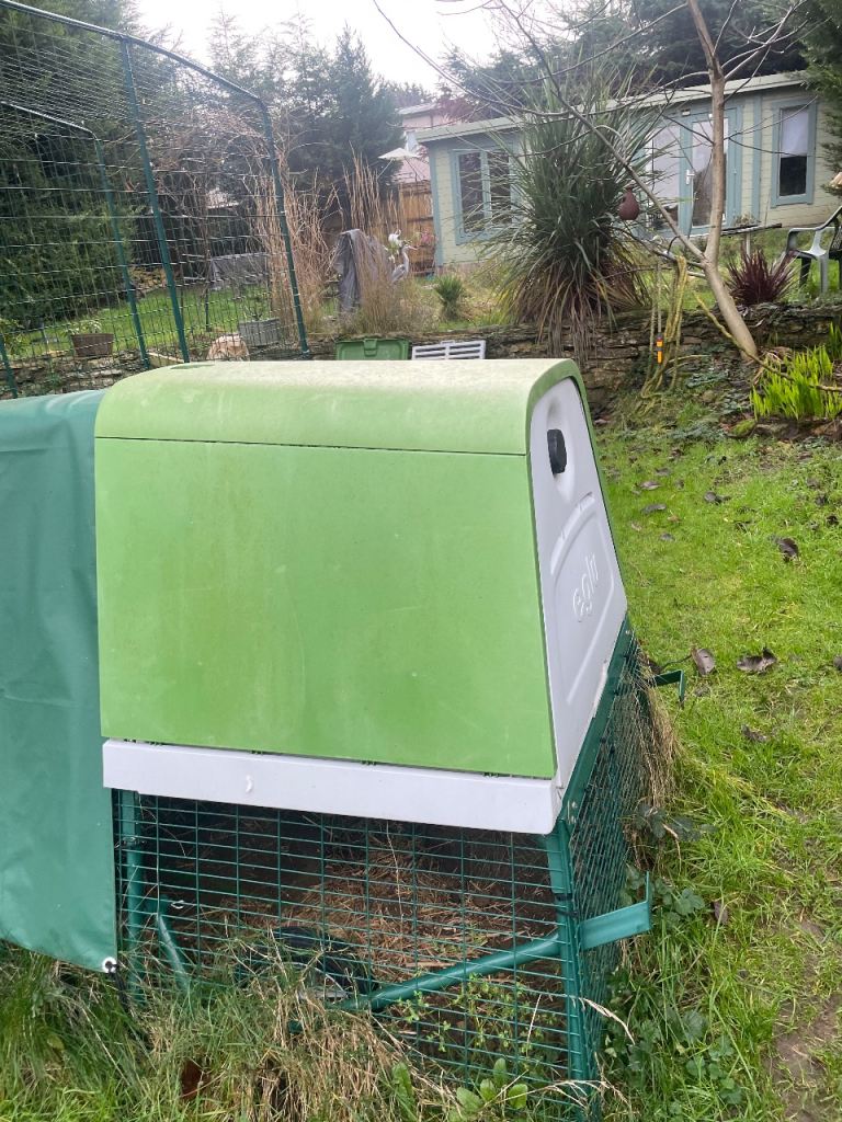 3 m x 3 m walk in cage and chicken coop