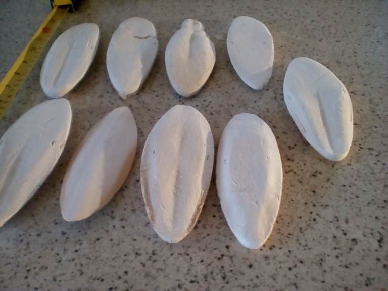 9 large Cuttlefish Bones - Unused-Retail bought