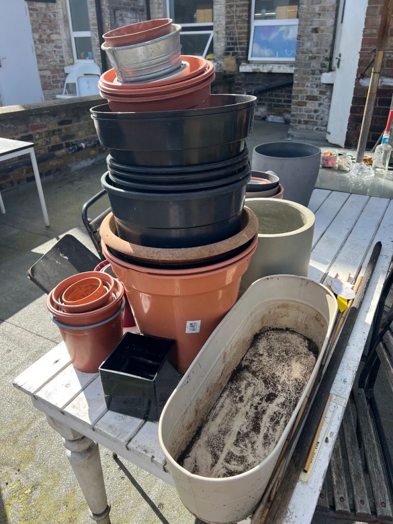 Garden Plant pods and planter 