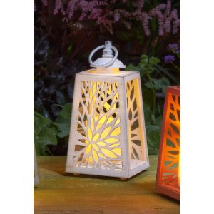 Cornish In Lit Lantern - White