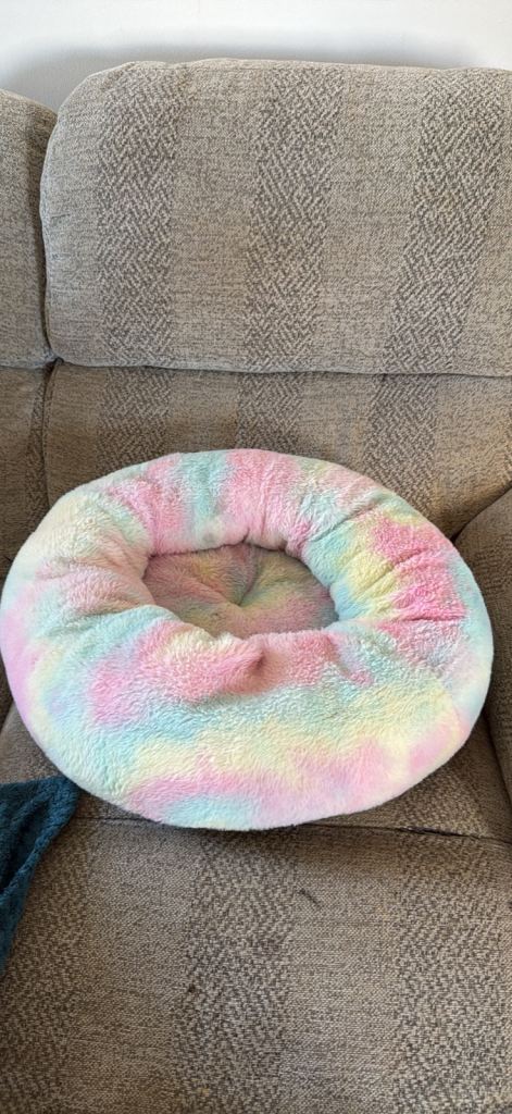 rainbow pet bed