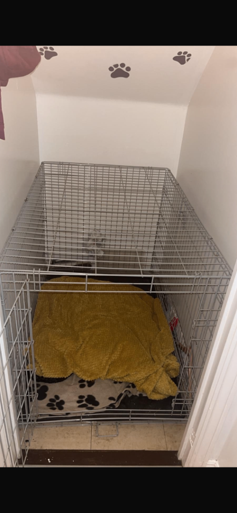 xl dog crate amazing condition 