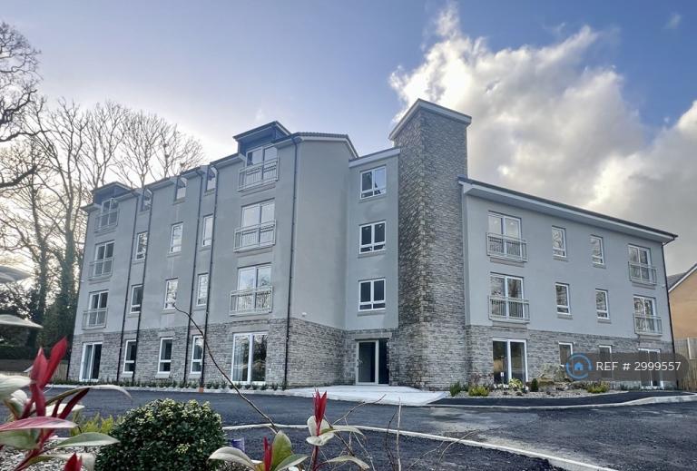 1 bedroom flat in Bronwydd Road, Carmarthen, SA31 (1 bed) (#2999557)