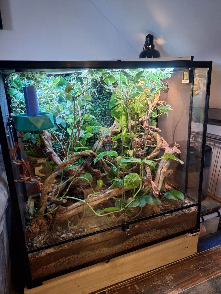 Chameleon reptil cage