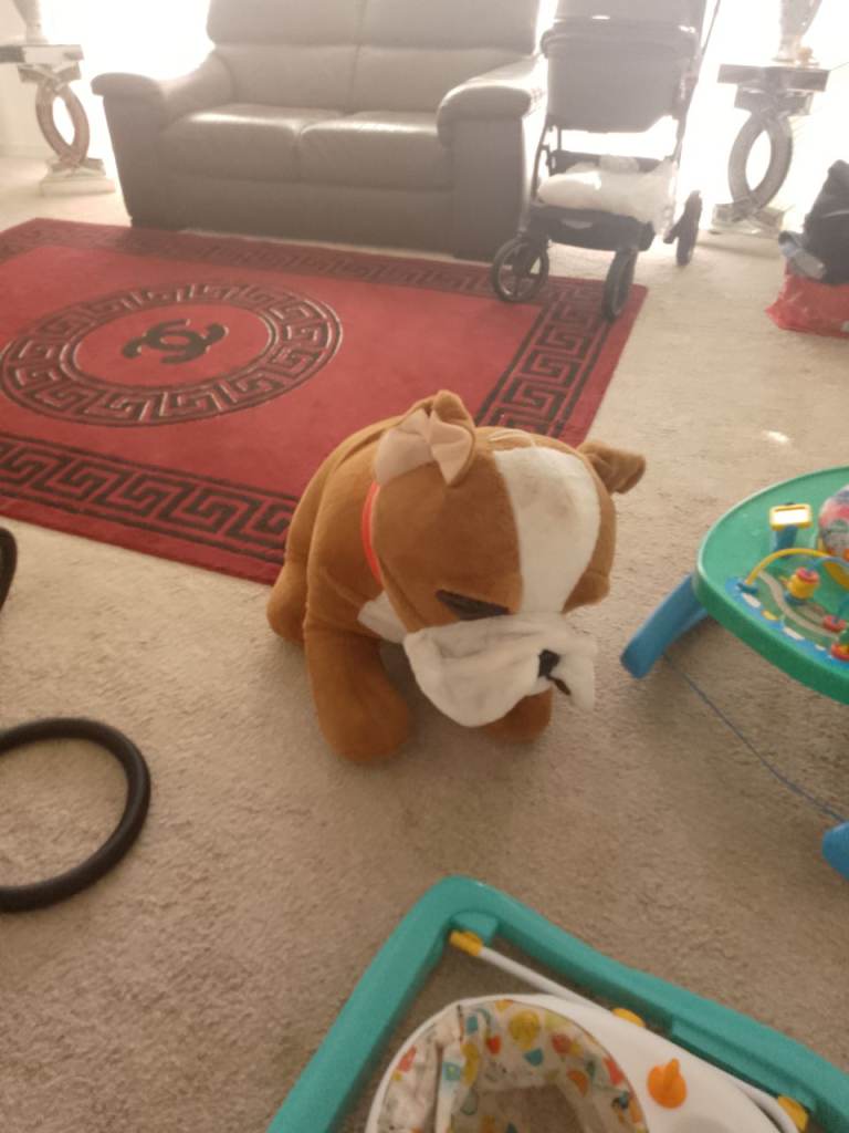 3 items Free to collect 