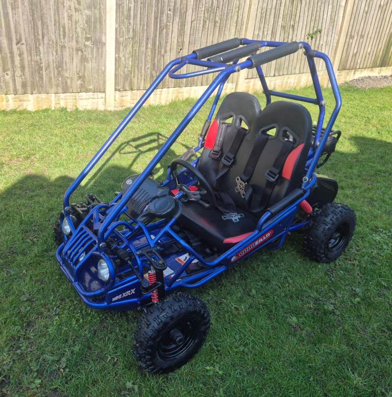 Quadzilla kids petrol buggy