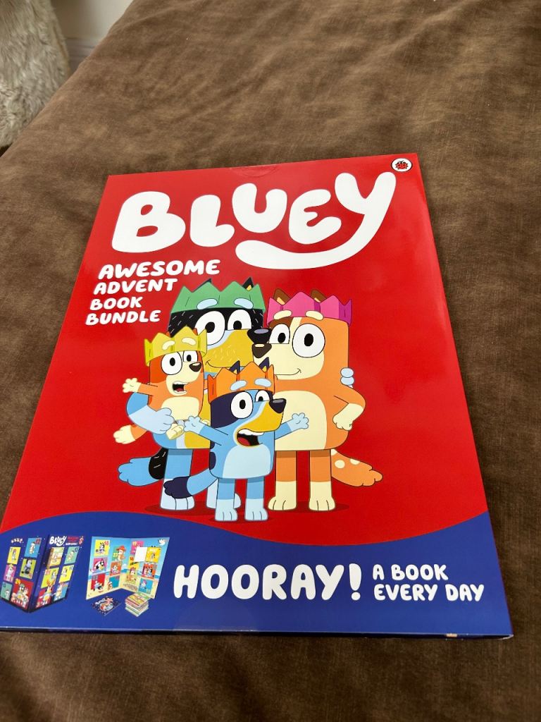 Bluey advent book