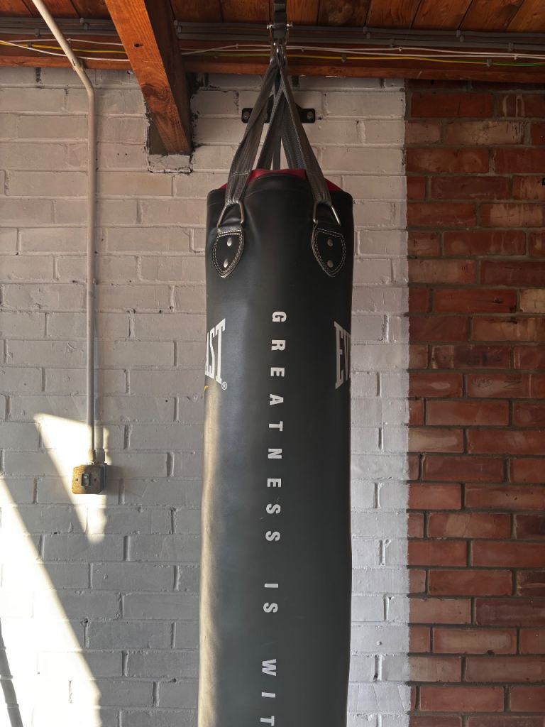 Punch bag, 2 sets of gloves and wall bracket and fixings 