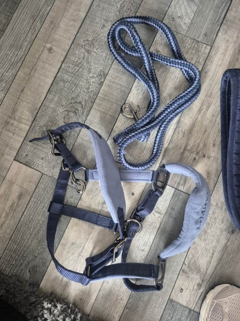 LeMieux Head Collar with Lead Rope