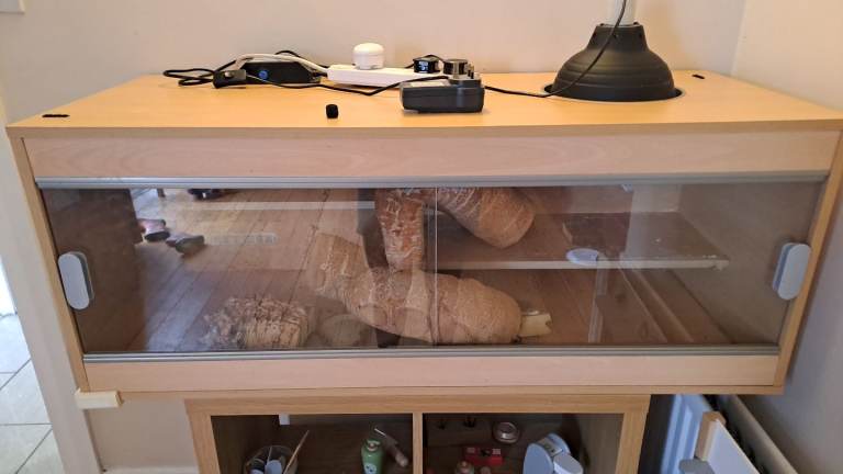 Lizard tank/vivarium 