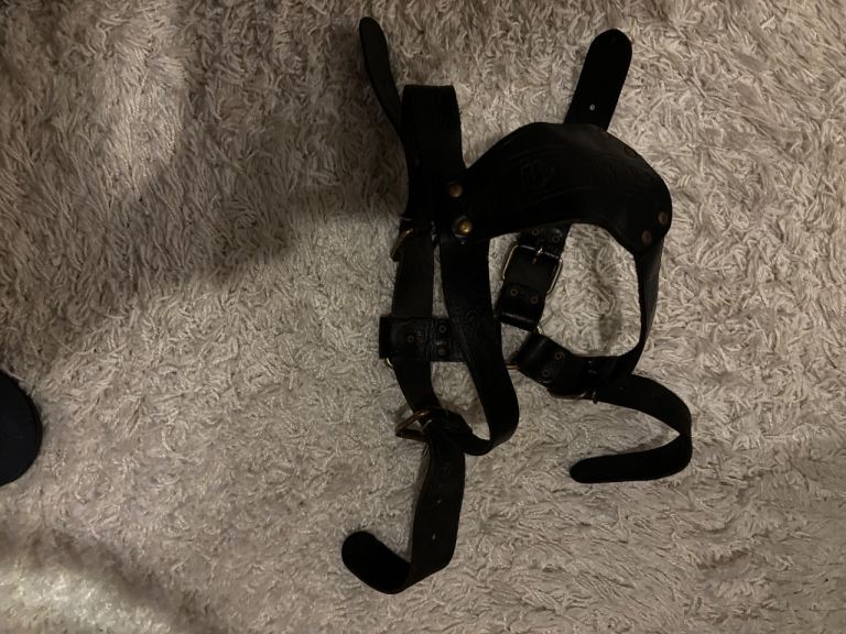DOG HARNESS 